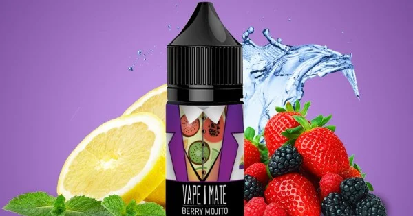 Vape Mate Berry Mojito 30 ML Salt Likit Fiyatı ve Özellikleri