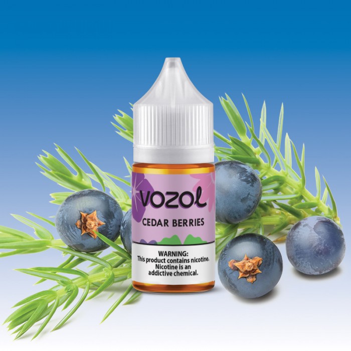 Vozol Bar Cedar Berries 30 ML Likit  en uygun fiyatlar ile eliptod.com da! Vozol Bar Cedar Berries 30 ML Likit özellikleri, fiyatı, incelemesi, yorumları ve taksit seçenekleri için hemen tıklayın!