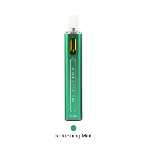 Vozol Meshstick Max 3000 Refreshing Mint